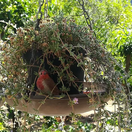 Bed and breakfast Experience 4*