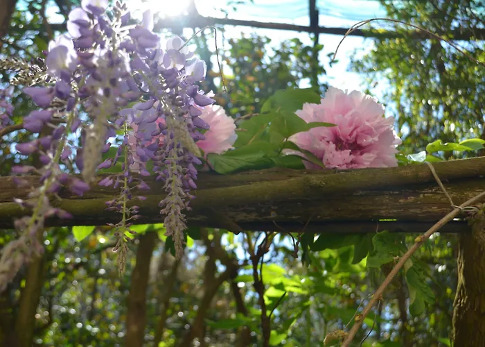 Experience 4* Península Sorrentina