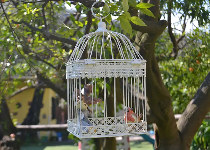 Experience 4* Península Sorrentina