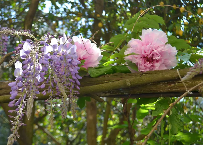 Experience Bed & Breakfast 4*