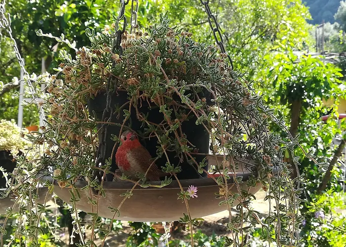 Bed & Breakfast Experience 4*