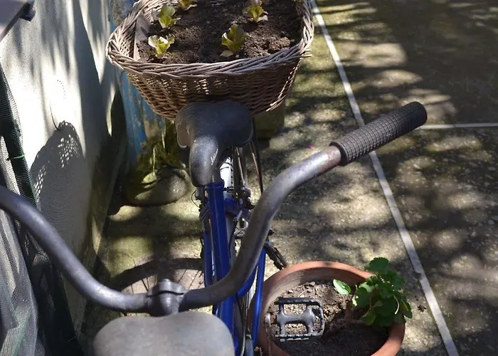 Experience 4* Sorrento