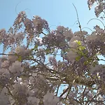 فندق مبيت وإفطار Experience سورينتو