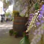فندق مبيت وإفطار Experience سورينتو