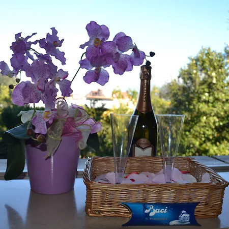 Experience 4* ソレント