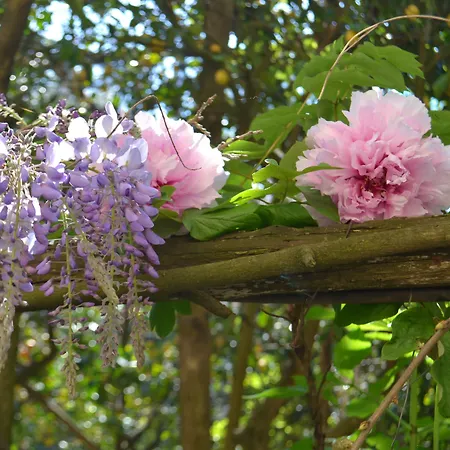 Experience Отель типа 