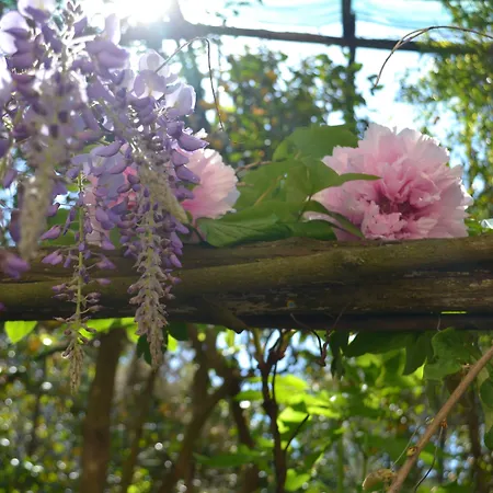 Experience 4* ソレント