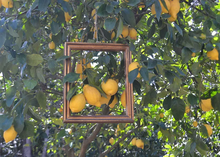 Alojamento de Acomodação e Pequeno-almoço Experience 4*