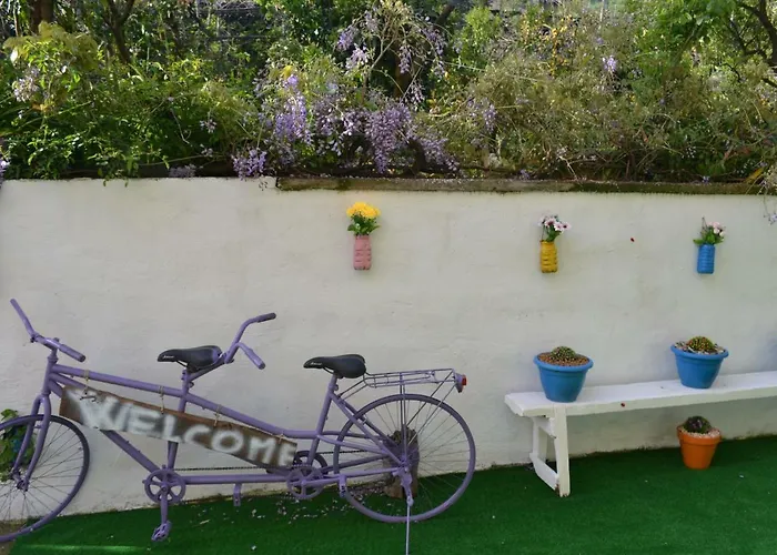 Experience Alojamento de Acomodação e Pequeno-almoço 4*