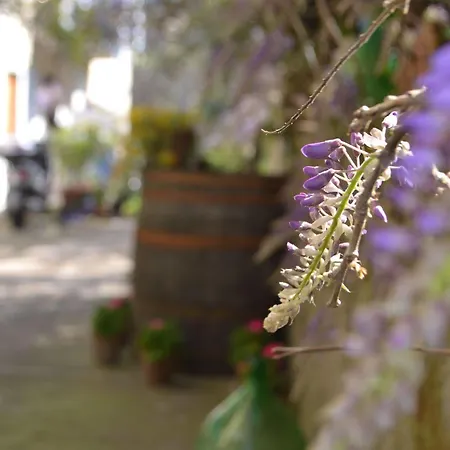 Bed and breakfast Experience Península Sorrentina