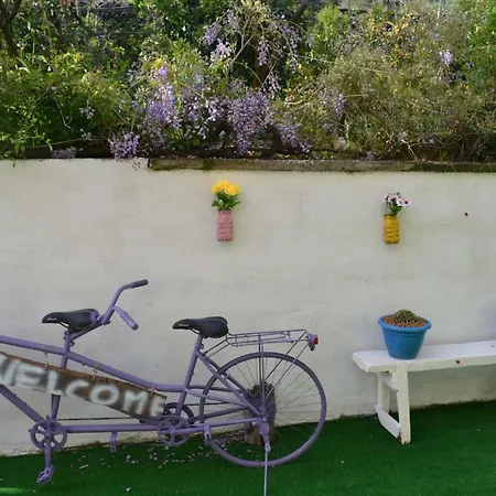 Experience Frühstückspension 4*