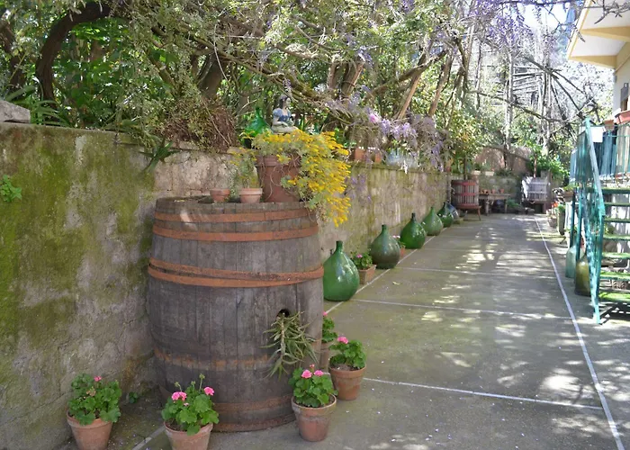 Alojamento de Acomodação e Pequeno-almoço Experience 4*